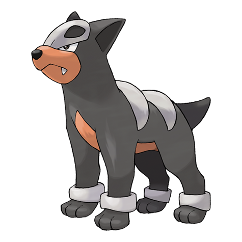 Houndour